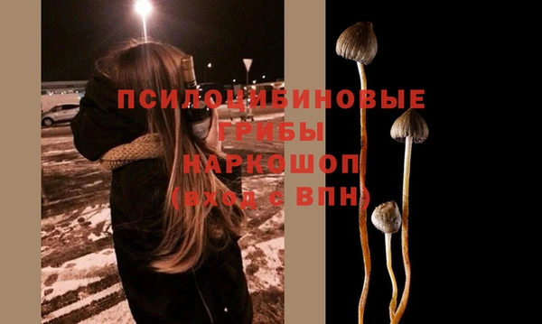 MESCALINE Инсар