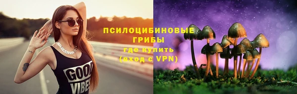 тгк Иннополис