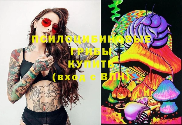 MESCALINE Инсар