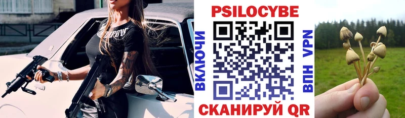 купить  сайты  Новочебоксарск  Галлюциногенные грибы MAGIC MUSHROOMS 